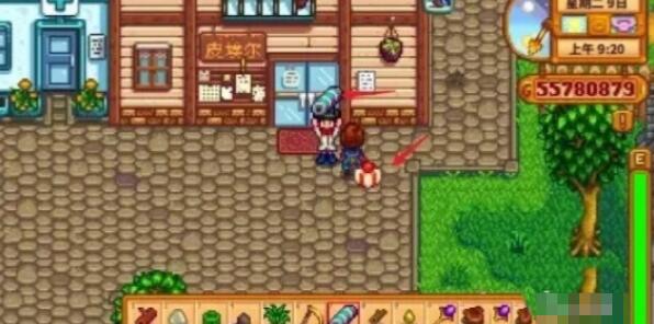 星露谷物语怎么结婚