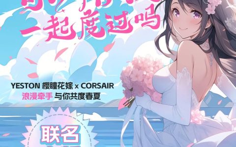 盈通 x 海盗船，复仇者 RGB DDR5 樱瞳花嫁联名款内存将至