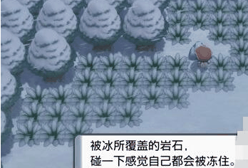 宝可梦晶灿钻石明亮珍珠攀岩术怎么获得