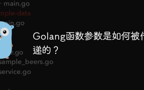 Golang函数参数是如何被传递的？