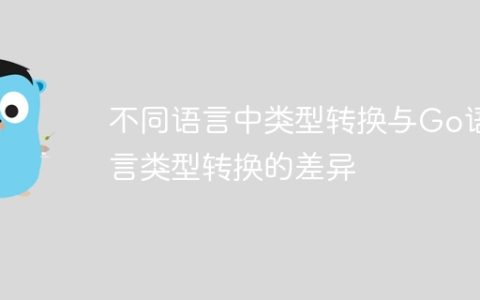 不同语言中类型转换与Go语言类型转换的差异