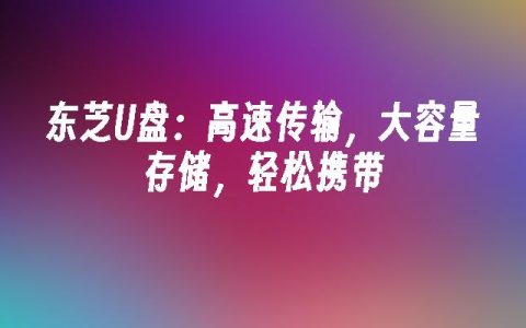 东芝U盘：高速传输，大容量存储，轻松携带