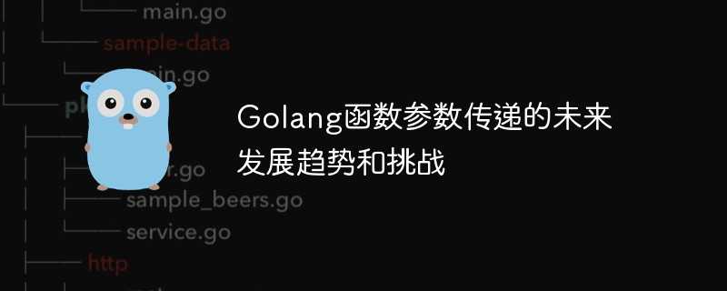 Golang函数参数传递的未来发展趋势和挑战插图 Golang函数参数传递的未来发展趋势和挑战