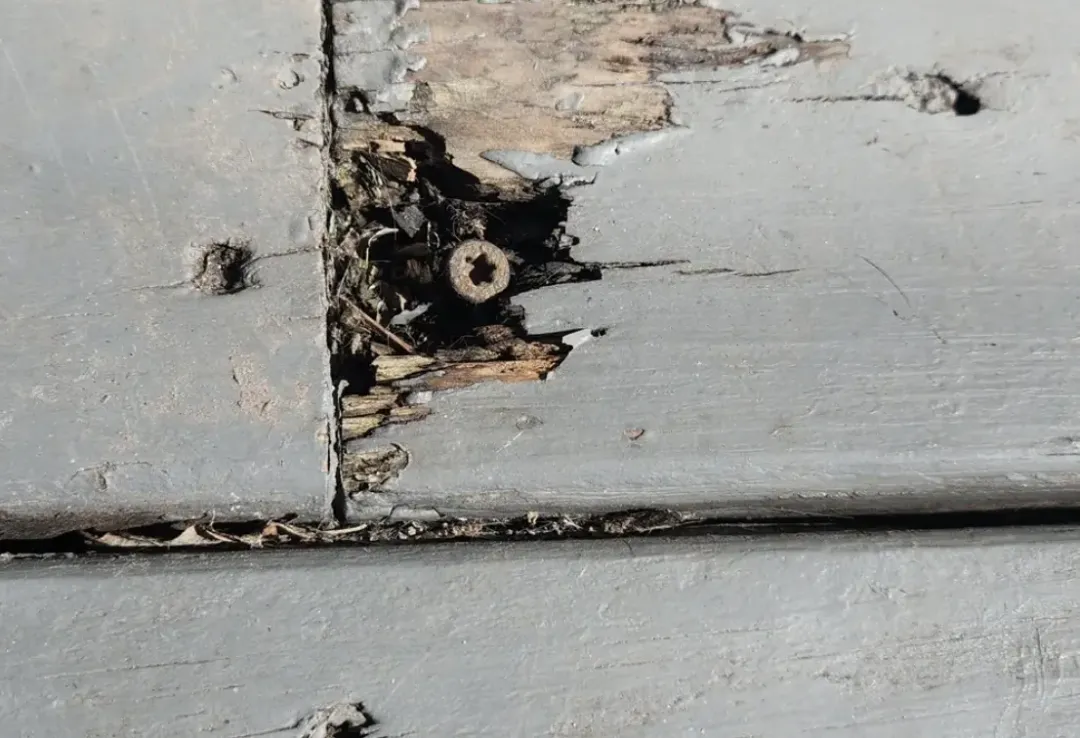 马斯克的首款多模态大模型来了,GPT插图7 马斯克的首款多模态大模型来了,GPT-4V又被超越了一次