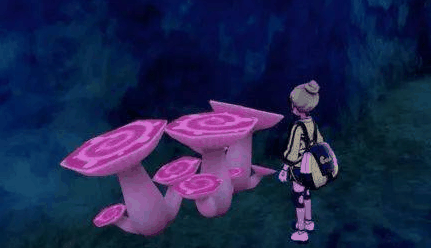 《宝可梦剑盾》极巨菇菇在哪里插图1 《宝可梦剑盾》极巨菇菇在哪里