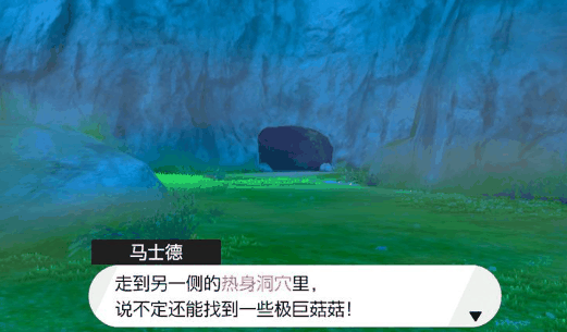 《宝可梦剑盾》极巨菇菇在哪里插图3 《宝可梦剑盾》极巨菇菇在哪里