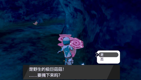 《宝可梦剑盾》极巨菇菇在哪里插图5 《宝可梦剑盾》极巨菇菇在哪里