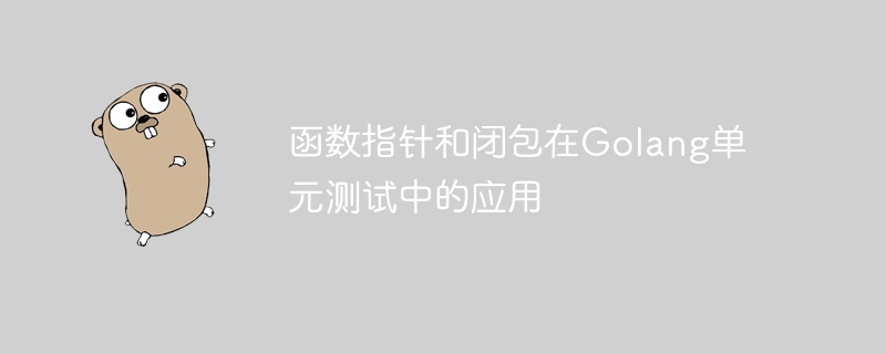 函数指针和闭包在Golang单元测试中的应用插图 函数指针和闭包在Golang单元测试中的应用