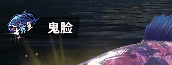 《欢乐钓鱼大师》最稀有的鱼介绍一览插图2 《欢乐钓鱼大师》最稀有的鱼介绍一览