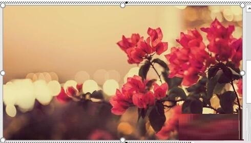 PPT实现缩略图一点就能大图满屏显示的方法教程插图1 PPT实现缩略图一点就能大图满屏显示的方法教程