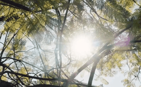 2024年五一过后东北是冷是热1