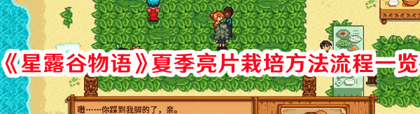 星露谷物语夏季亮片怎么栽培 星露谷物语夏季亮片栽培方法插图 星露谷物语夏季亮片怎么栽培 星露谷物语夏季亮片栽培方法