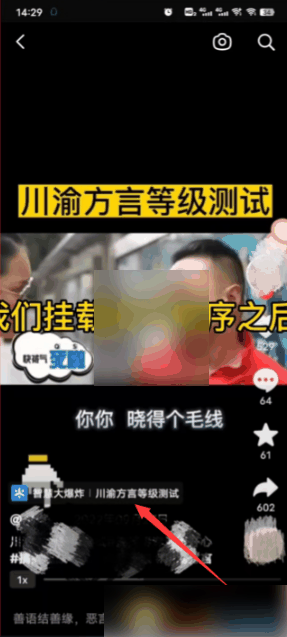 抖推猫插图1 抖推猫