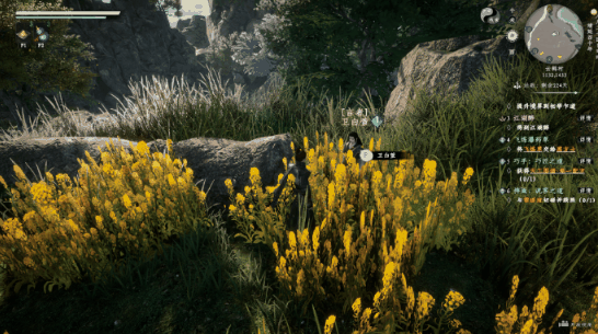 《下一站江湖2》言者特性一览插图1 《下一站江湖2》言者特性一览