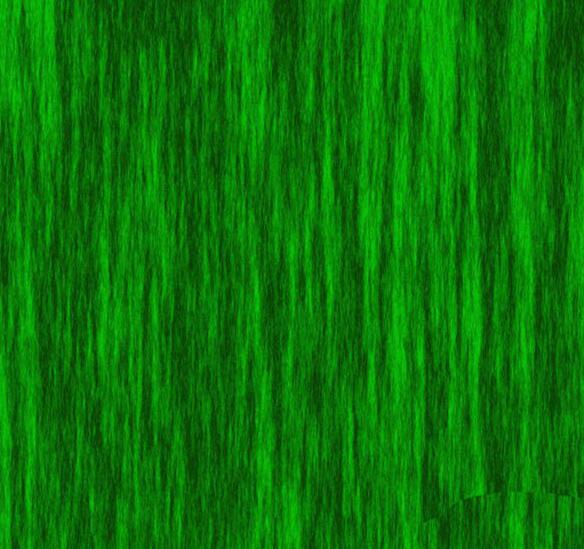 photoshop怎样制作草地平面俯视图效果?制作草地平面俯视图效果的详细步骤插图2 photoshop怎样制作草地平面俯视图效果_制作草地平面俯视图效果的详细步骤