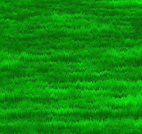 photoshop怎样制作草地平面俯视图效果?制作草地平面俯视图效果的详细步骤插图6 photoshop怎样制作草地平面俯视图效果_制作草地平面俯视图效果的详细步骤