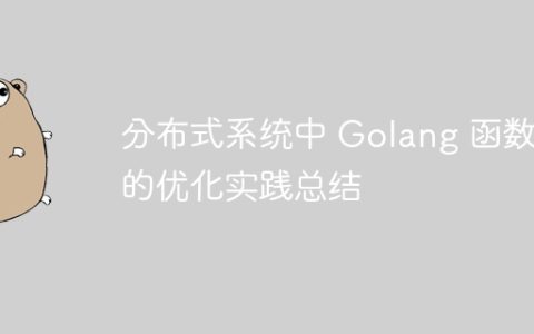 分布式系统中 Golang 函数的优化实践总结
