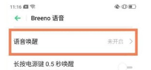 OPPOReno6在哪里看语音助手?OPPOReno6打开语音助手的教程插图2 OPPOReno6在哪里看语音助手_OPPOReno6打开语音助手的教程