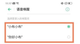 OPPOReno6在哪里看语音助手?OPPOReno6打开语音助手的教程插图3 OPPOReno6在哪里看语音助手_OPPOReno6打开语音助手的教程