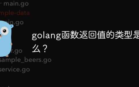 golang函数返回值的类型是什么？