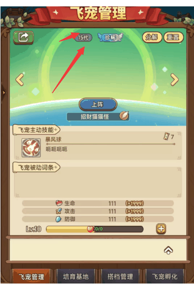 《冒险大作战》飞宠玩法抢先知道