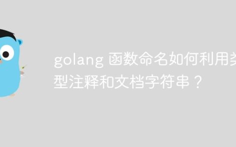 golang 函数命名如何利用类型注释和文档字符串？