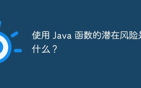 使用 Java 函数的潜在风险是什么？