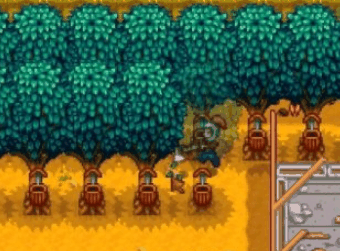 星露谷物语送花要多少钱插图 星露谷物语送花要多少钱