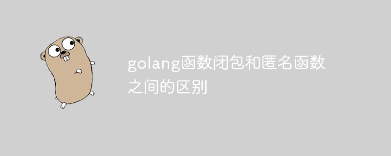 golang函数闭包和匿名函数之间的区别插图 golang函数闭包和匿名函数之间的区别