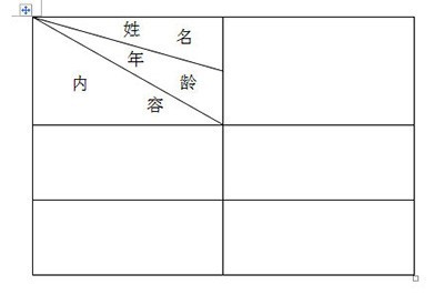 Word怎么制作多斜线表头?Word制作多斜线表头方法插图4 Word怎么制作多斜线表头_Word制作多斜线表头方法