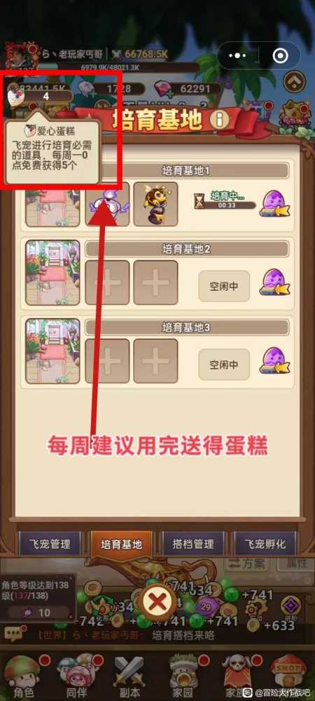 《冒险大作战》飞宠管理及云缠天梯试炼补充建议