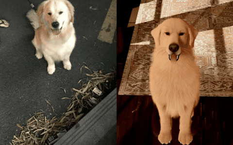 强推！申请《以闪亮之名》游戏加入养宠人必入清单