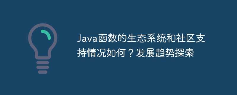 Java函数的生态系统和社区支持情况如何？发展趋势探索