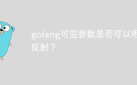 golang可变参数是否可以用于反射？