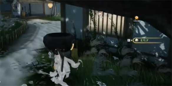 《射雕》曼陀罗思归获取攻略插图2 《射雕》曼陀罗思归获取攻略