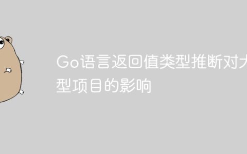 Go语言返回值类型推断对大型项目的影响