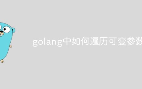 golang中如何遍历可变参数？