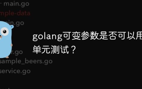 golang可变参数是否可以用于单元测试？