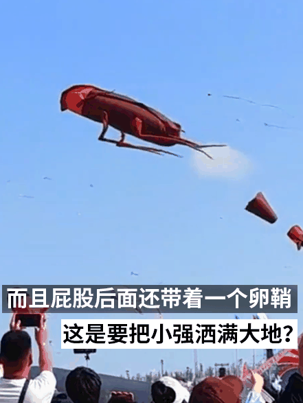 潍坊风筝节惊现飞天蟑螂！广东人急呼再放个拖鞋上去