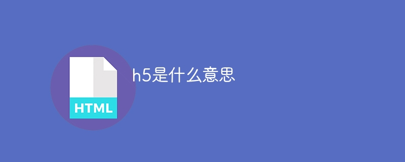 h5是什么意思