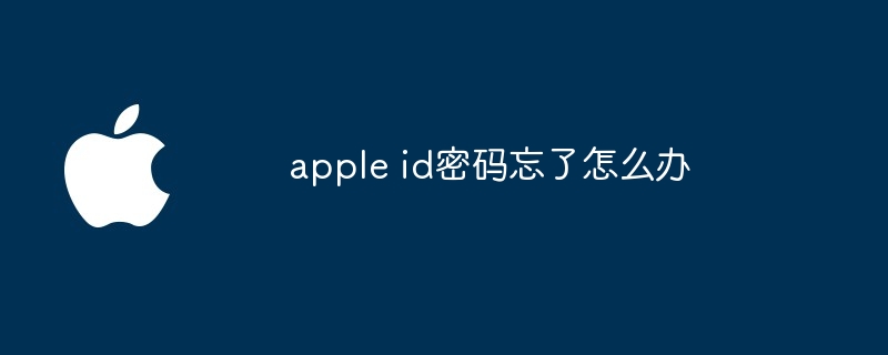 apple id密码忘了怎么办插图 apple id密码忘了怎么办