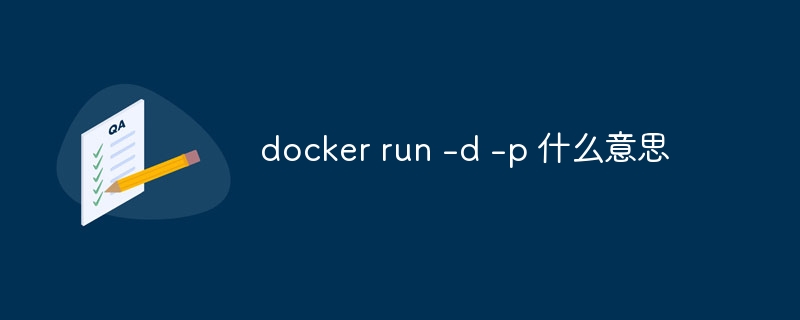 docker run