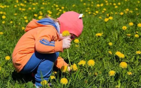 午托班员工抱摔小孩 当地两部门回应了
