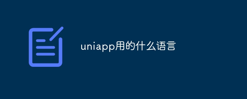 uniapp用的什么语言