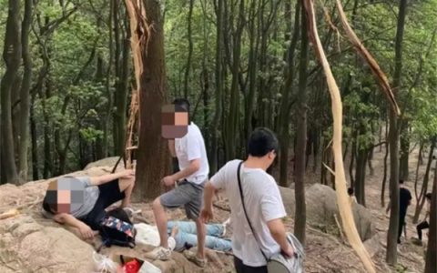 女子爬山遭雷击倒地身旁树木被劈开 爬山安全注意事项
