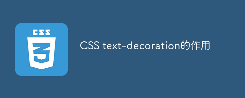CSS text