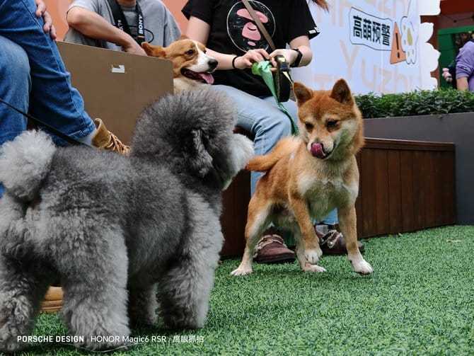 荣耀Magic6 RSR 保时捷设计怎么样 荣耀Magic6 RSR 保时捷设计上手体验插图11