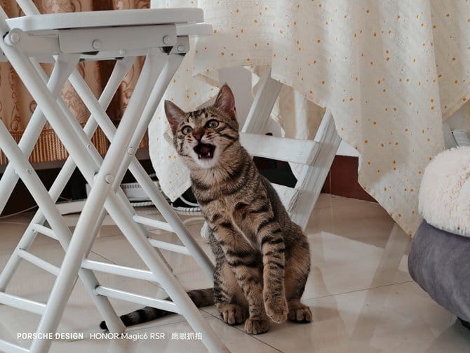 荣耀Magic6 RSR 保时捷设计怎么样 荣耀Magic6 RSR 保时捷设计上手体验插图14