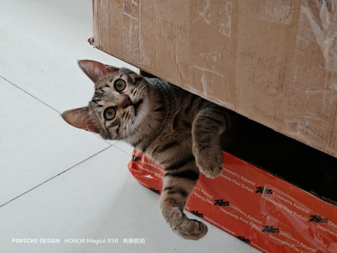 荣耀Magic6 RSR 保时捷设计怎么样 荣耀Magic6 RSR 保时捷设计上手体验插图15