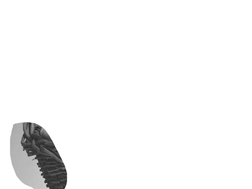 Photoshop快速抠出篮子里的猫咪插图9